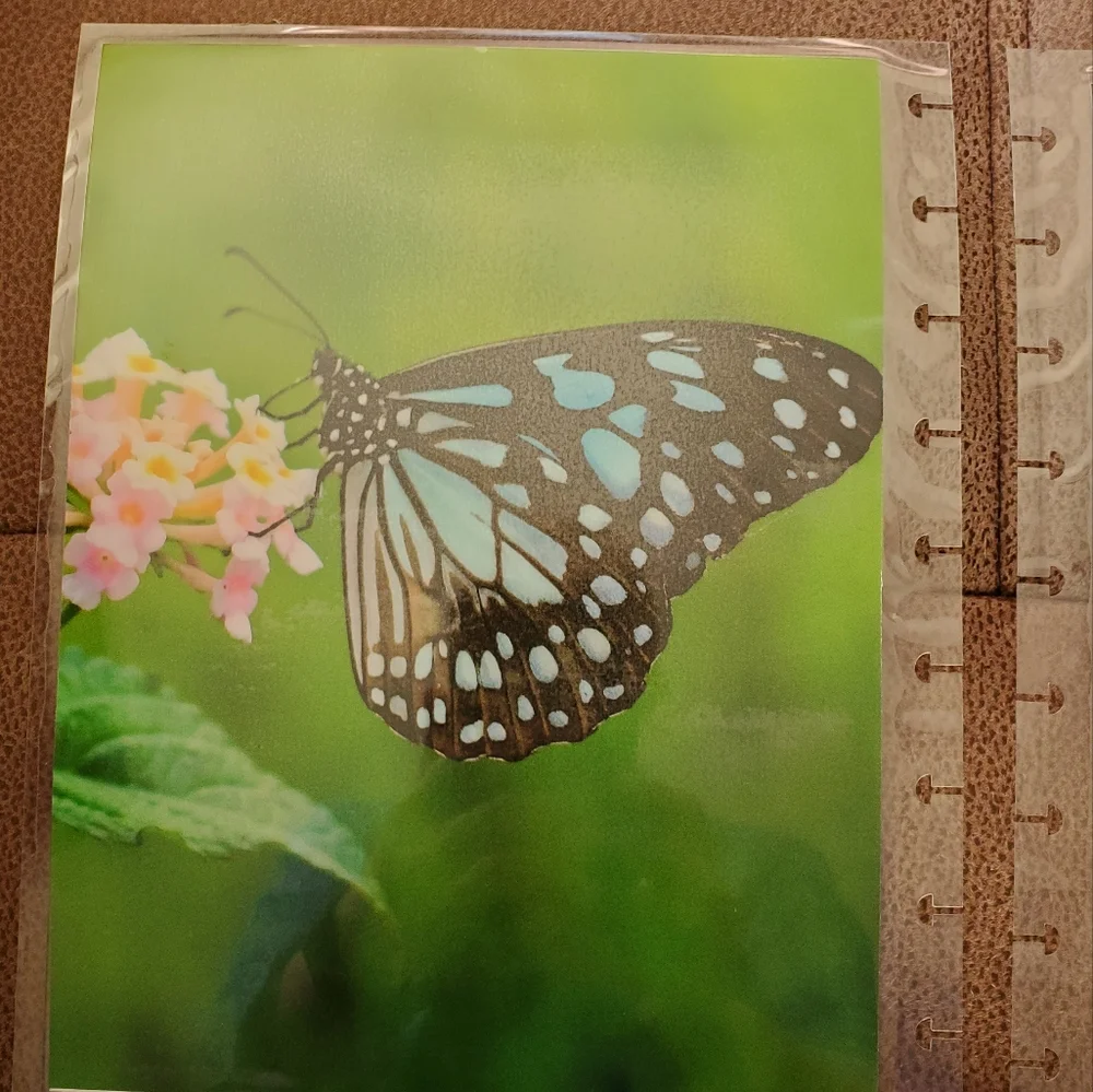 Handmade cover For A Classic Sized Disc Bound Planner mountains, lake